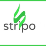 Comprehensive Stripo Review 2024: Is It Worth Your       While?