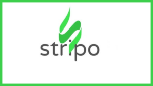 Read more about the article Comprehensive Stripo Review 2024: Is It Worth Your       While?