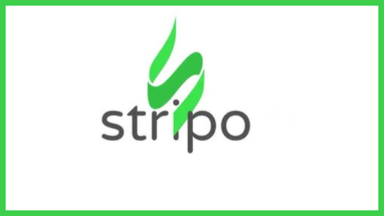 Comprehensive Stripo Review 2024: Is It Worth Your       While?